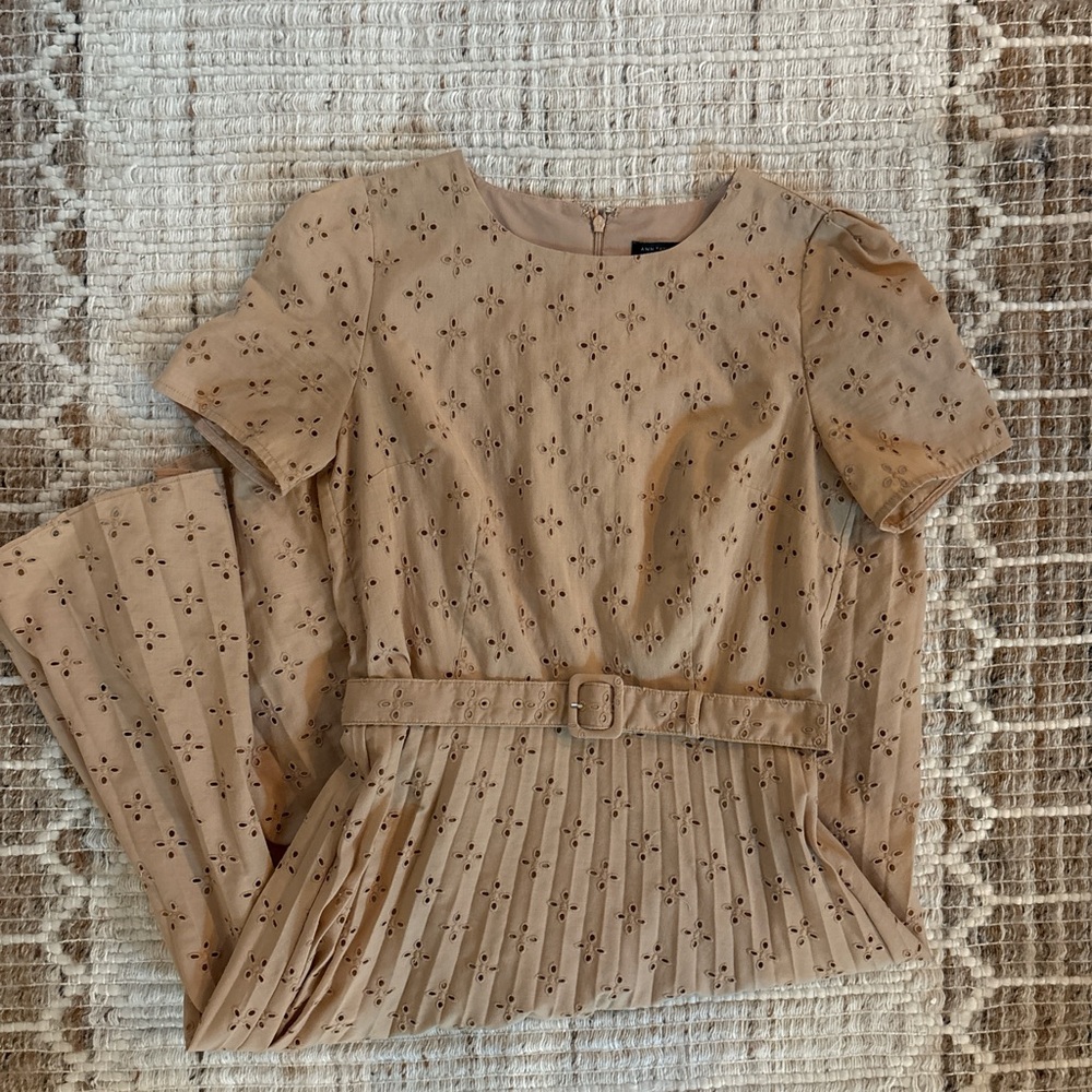 ann taylor dress 🍂
